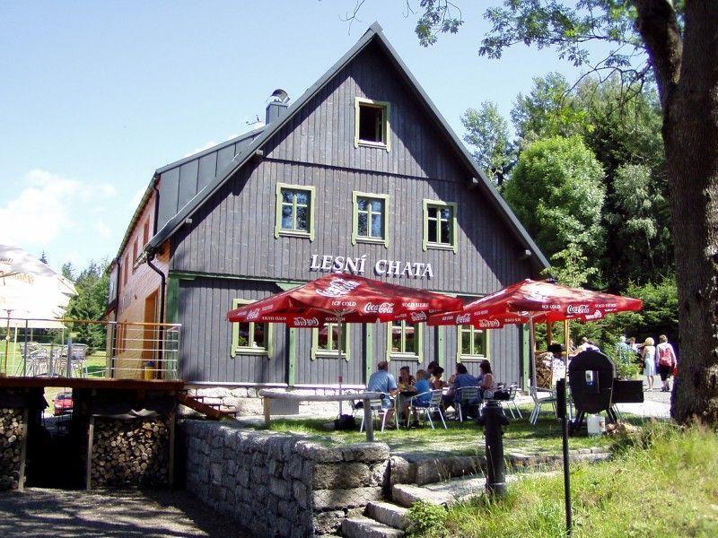 Lesni Chata Бедржихов Экстерьер фото